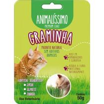 Graminha Gatos Grama Eliminação Pelos Digestão Saudável 50g