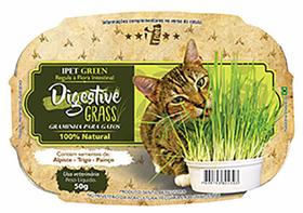 Graminha Para Gatos Digestive Grass 100% Natural 50g Cor Verde