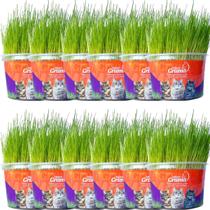 Graminha Para Gatos Elimina Bola De Pelo Kit Com 12 UN Graminha Para Gatos Elimina Bola De Pelo Kit Com 12 UN