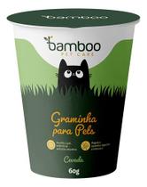 Graminha Para Gatos Vaso Bamboo Cevada Digestiva Natural 60g Graminha Para Gatos Vaso Bamboo Cevada Digestiva Natural 60g