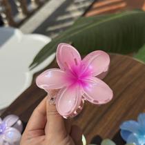 Grampo De Cabelo De Flor Transparente Coreano , Clipe De Garra Frangipani Para Mulheres , Acessório Criativo