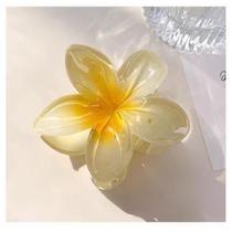 Grampo De Cabelo De Flor Transparente Coreano , Clipe De Garra Frangipani Para Mulheres , Acessório Criativo