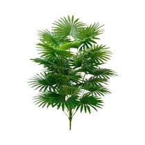 Grande Árvore Artificial De Tungue Em Estilo Nórdico, Planta Falsa Verde Para Decoração De Casa E