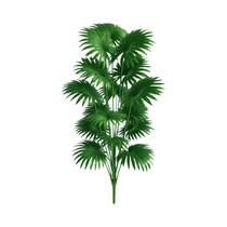 Grande Árvore De Palma Artificial De 43,30 Polegadas De Altura, Planta Tropical Falsa Para Decoração