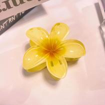 Grande Presilha De Cabelo Acrílica Com Flor Gradiente Boho De 8 Cm Para Mulheres, Presilha De Cabelo