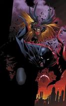 Grandes Herois Dc: Os Novos 52 Vol.09 - Batman e Robin: Nasc ***