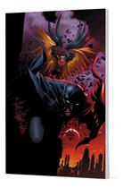 Grandes Herois Dc: Os Novos 52 Vol.09 - Batman e Robin: Nasc *** Sortido