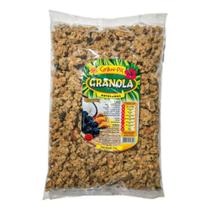 Granola Artesanal Gran Pic - 1 kg