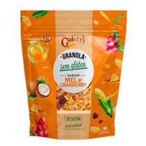 Granola Artesanal Sabor Mel e Cranberry Gaiatri 200g