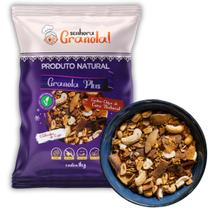 Granola Castanha Caju Coco Crocante Tradicional Premium Senhora Granola Plus 1kg Granola Castanha Caju Coco Crocante Tradicional Premium Senhora Granola Plus 1kg