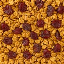 Granola com Frutas Light 100g Leve, Crocante e Perfeita para Lanches e Café da Manhã Equilibrado