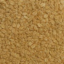 Granola Tradicional 100g Sabor Clássico, Crocância na Medida e Ideal para Começar o Dia com Energia Granola Tradicional 100g Sabor Clássico, Crocância na Medida e Ideal para Começar o Dia com Energia