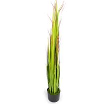Grass Artificial Print Com Pote Real Toque Verde 2t 120 cm F04 - D'Rossi Grass Artificial Print Com Pote Real Toque Verde 2t 120 cm F04 - D'Rossi