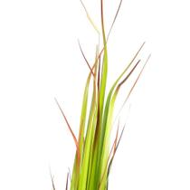 Grass Artificial Print Com Pote Real Toque Verde 2t 120 Cm F04 - D'rossi Grass Artificial Print Com Pote Real Toque Verde 2t 120 Cm F04 - D'rossi