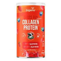 Grass Fed Balance Collagen Protein - 560g Frutas Vermelhas - Bigens Grass Fed Balance Collagen Protein - 560g Frutas Vermelhas - Bigens