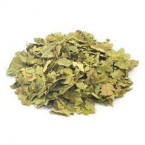 Graviola - 50g - Casa do Naturalista