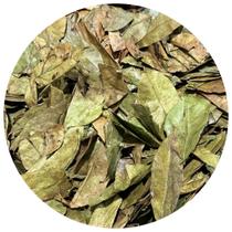 Graviola Folha 100g (Erva Desidratada)