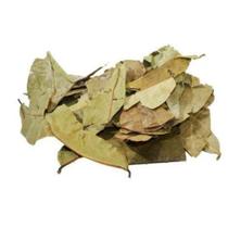 Graviola Folhas 100Gr (Erva Seca)