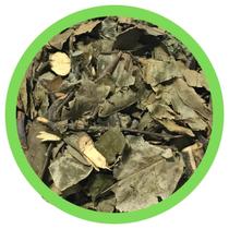 Graviola Folhas 1Kg -Anona muricata Graviola Folhas 1Kg -Anona muricata