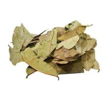 Graviola Folhas 500GR