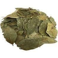 Graviola - PREMIUM - 50 gr. -