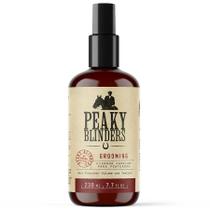Grooming Peaky Blinders Fixador Capilar para Penteados 230mL Don Alcides