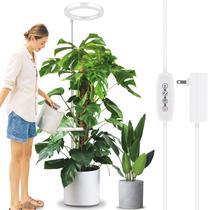 Grow Light LORDEM 10 para plantas de interior Full Spectrum 160 LEDs Grow Light LORDEM 10 para plantas de interior Full Spectrum 160 LEDs