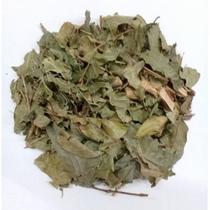 Guabiroba - PREMIUM - 50 gr. - Guabiroba - PREMIUM - 50 gr. -