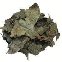 Guaçatonga 100Gr (Erva seca)