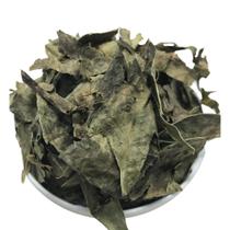 Guaco 250Gr (Erva seca)