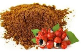 Guaraná em Pó - natural Guaraná em Pó - natural