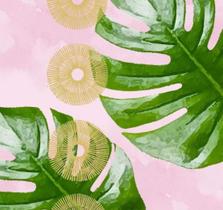 Guard. C/20 1333353 Club Tropicana Rose