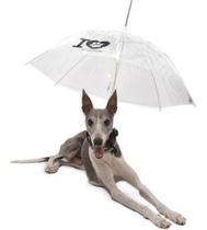 Guarda Chuva Pet Para Cachorro Capa De Chuva Passeio Cães