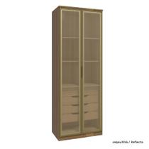 Guarda Roupa Modulado 02 Porta de Vidro 245cm com Colmeia Setiba