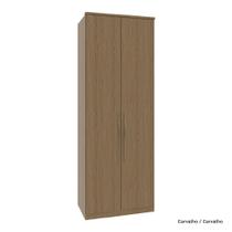 Guarda Roupa Modulado 02 Portas com Colmeia 245cm Alt Setiba