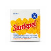 Guardanapo 23x22 santepel 50un Guardanapo 23x22 santepel 50un