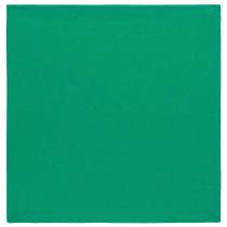 Guardanapo de tecido verde 45x45