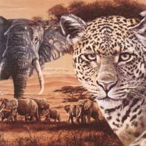 Guardanapo Decorado Colagem de Safari Keramik 33x33cm