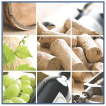 Guardanapo Design Vinhos 33X33cm - Bella Tavola