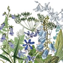 Guardanapo para Decoupage 33x33 Floresta Donatella C/2