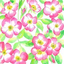 Guardanapo para Decoupage 33x33 Plantas Espinheiros C/20 Guardanapo para Decoupage 33x33 Plantas Espinheiros C/20