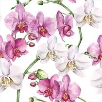 Guardanapo para Decoupage Ambiente 33x33 Flores Orquídea C/02 Unidade Guardanapo para Decoupage Ambiente 33x33 Flores Orquídea C/02 Unidade