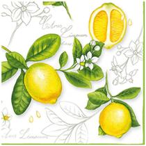 Guardanapo para Decoupage Ambiente com 20 Unidades Citrus Limonum 13306290