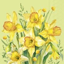 Guardanapo para Decoupage Ihr 33x33 Flores Buque Narciso C/ 20 Unidade Guardanapo para Decoupage Ihr 33x33 Flores Buque Narciso C/ 20 Unidade