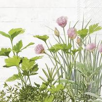 Guardanapo para Decoupage Ihr 33x33 Plantas Ervas Naturais C/ 20 Unidade Guardanapo para Decoupage Ihr 33x33 Plantas Ervas Naturais C/ 20 Unidade