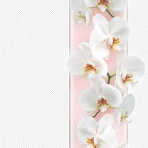 Guardanapo Para Decoupage Orquídeas Brancas 33X33Cm