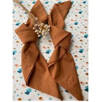 Guardanapo Terracota 40x40cm 100% Algodão