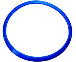 Guarnição/Anel De Vedação Autoclave Alt 5Lts 26013-173