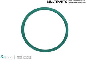Guarnição / Anel De Vedação Autoclave Biotron 12/21Lts