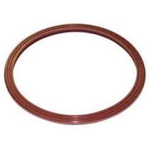 Guarnição da flange do módulo de combustível Parati 2003 a 2012